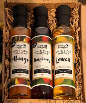 Apple Cider Vinegar 3 bottle gift set B